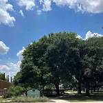 Downtown Dallas Boho City Gem Luxe 1Bed Apt